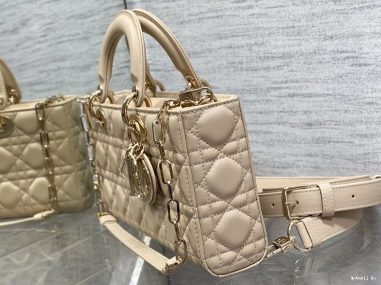 Lady Dior Premium Bags 75903 My Christian 0725